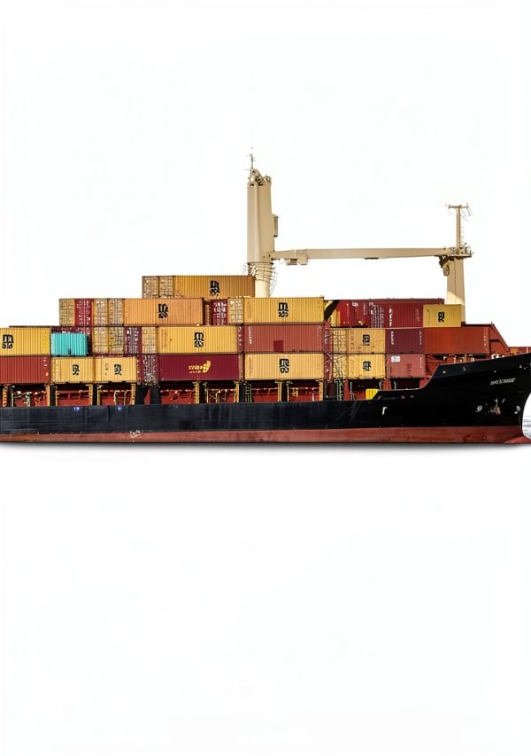International Tax Law for Exports and Imports Kindle Edition-0